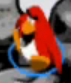 Rockhopper without his hat.