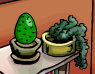 The Cactus Egg.