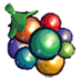 Rainbow Berry