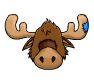 Zeus's only piece of clothing, the moose head.