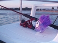 A purple puffle on a chair, "fishing".
