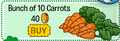 The picture of the item, as seen on the catalog.