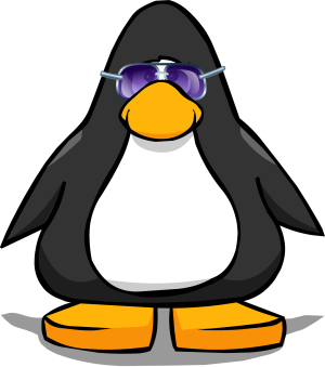 IndigoSunglasses2.PNG