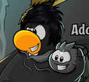 He looks like he is going to throw that puffle. If he is, puffle abuser alert!