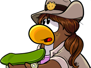 PHSkateboard.PNG