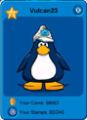 How it looks on your player card