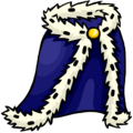Royal Blue Robe