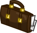 Brief Case