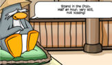 Sensei is not kidding!