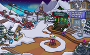 The Ski Village