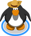 The hat In-game