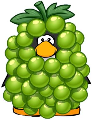 GrapeCostume2.png