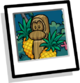 Yellow Kahuna background