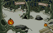 The Forest