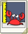 Thumbnail for version as of 16:01, 28 August 2024