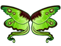 Moth Wings