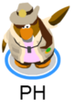 PH waving