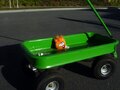 An orange puffle on a tow-along truck.