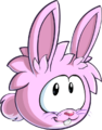 Pink Rabbit Puffle Pop the Pink O'berries (7)