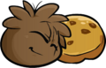 A Brown Puffle with a Cookie.