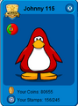 The flag on a player card.