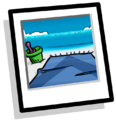 The inventory icon of this item