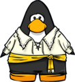 The Swashbuckler Outfit on a player card.