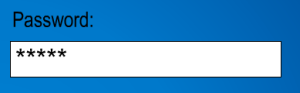 Password.PNG
