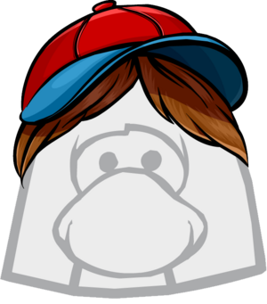 TheNewsieNew.PNG