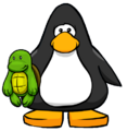 The Turtle on a player card.