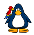The Parrot on a player card.