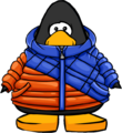 The Puffy Parka on a player card.