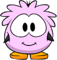 The Pink Puffle Costume on a player card