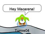 Hey, Macarena!