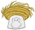Straw Sun Hat
