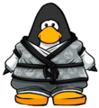 The Tranquility Robe on a player card.