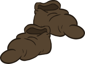 VillagerShoes.png