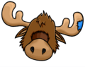 Zeus The Moose Head