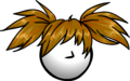 The Dizzy Secret item