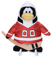 Hockey Player