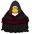 The Ink Ceremony Robes on a player card.