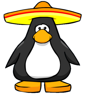 Sombrero picture.png