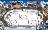 As an ice rink (current).