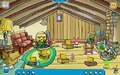 Ski Lodge Attic