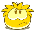 An unsure Gold Puffle.