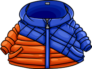 Bicolor jacket.PNG