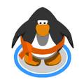 The Orange Ninja Belt in game.