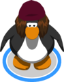 The Jay in-game.