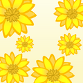 Sunflowers Background