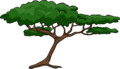Acacia Tree Secret item